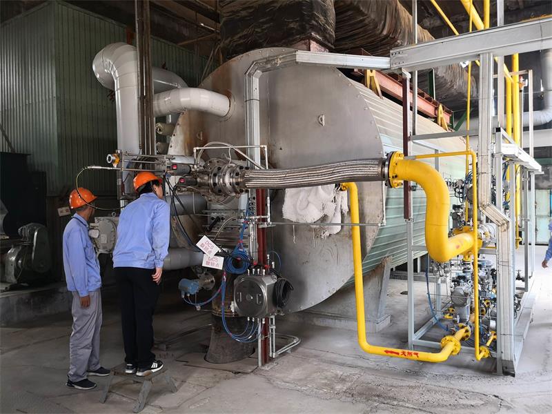 1 多燃料低氮燃燒器02.jpg